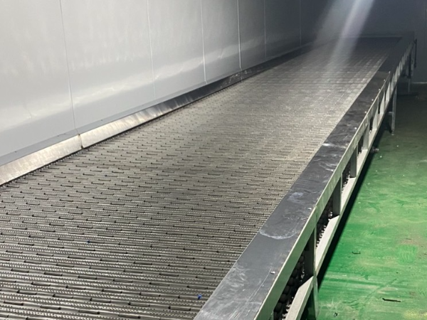 Băng tải lưới Inox