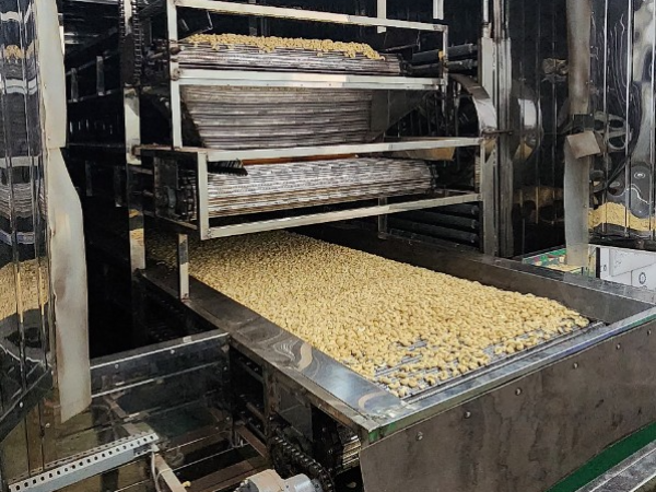 Lò sấy băng tải